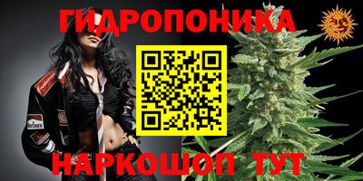 Альфа ПВП Заводоуковск