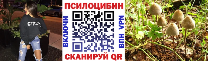 Псилоцибиновые грибы мицелий  блэк спрут ТОР  Ростов-на-Дону  как найти  