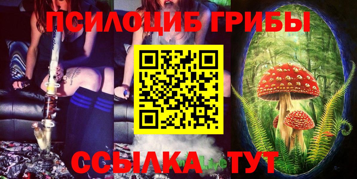 Галлюциногенные грибы Magic Shrooms  Ростов-на-Дону  Галлюциногенные грибы ЛСД 