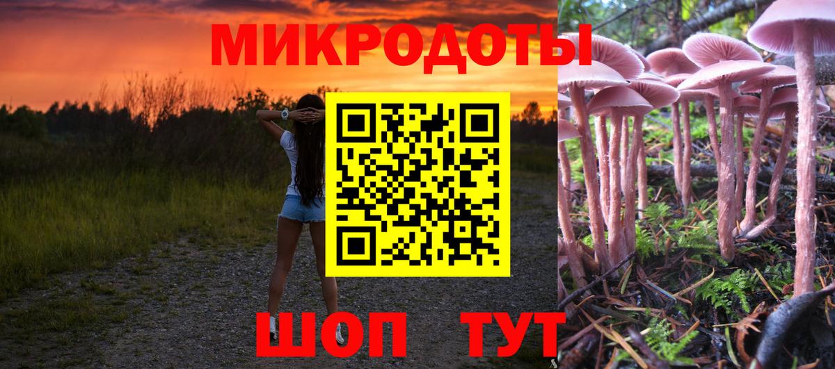 Псилоцибиновые грибы Psilocybe  Вход с VPN  Ростов-на-Дону 